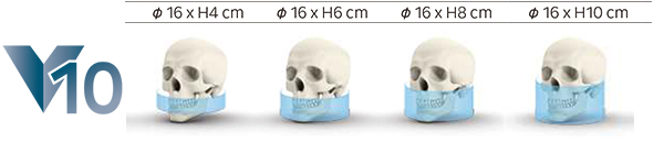 v10の診療領域 v10の診療領域