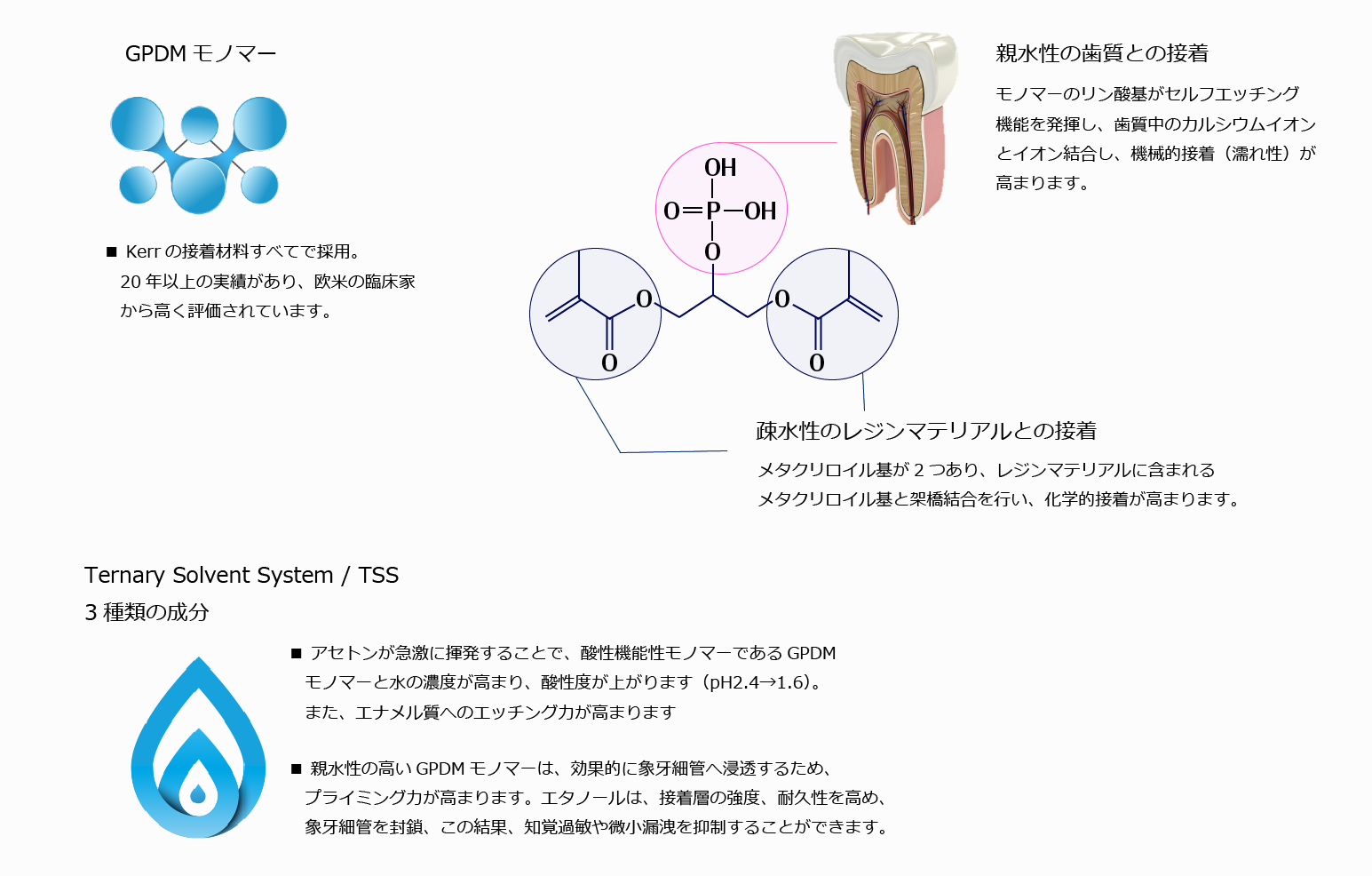 接着力を支える2つの優れた技術 接着力を支える2つの優れた技術