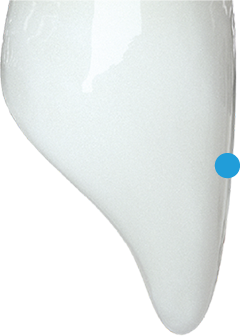 歯の写真 歯の写真