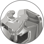 タイウィングの写真 タイウィングの写真