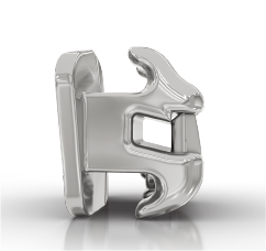 タイウィングの写真 タイウィングの写真