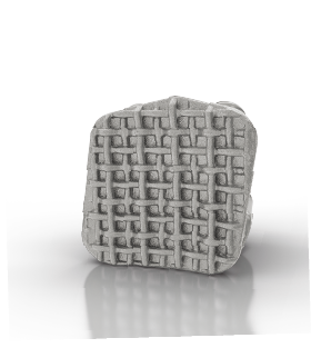 タイウィングの写真 ブラケットベースの写真